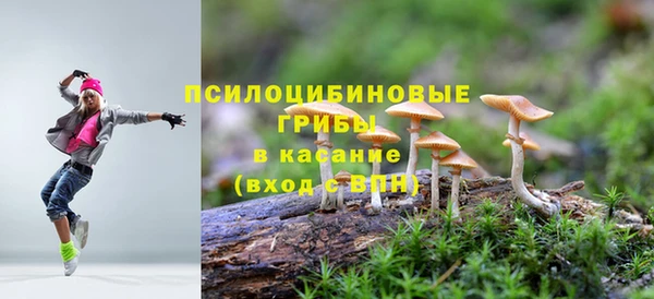 ALPHA-PVP Армянск